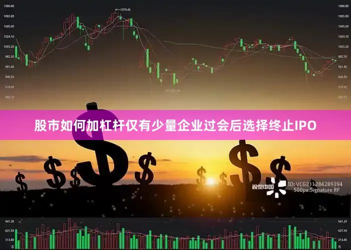 股市如何加杠杆仅有少量企业过会后选择终止IPO