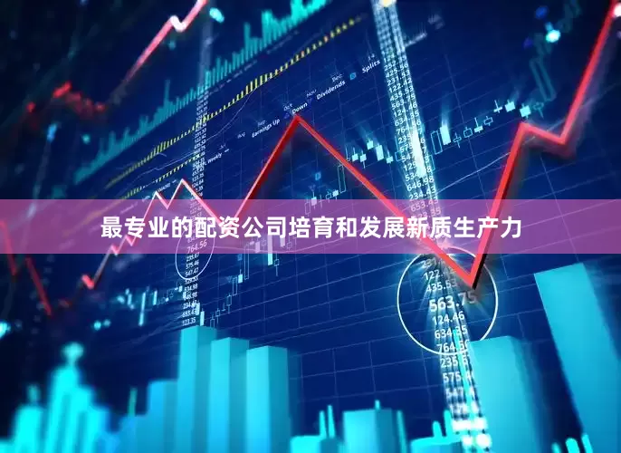 最专业的配资公司培育和发展新质生产力