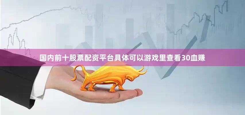 国内前十股票配资平台具体可以游戏里查看30血赚
