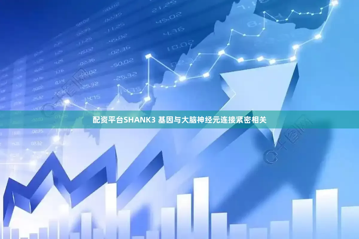配资平台SHANK3 基因与大脑神经元连接紧密相关