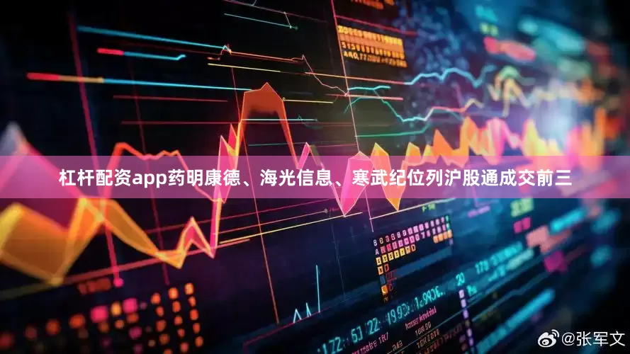 杠杆配资app　　药明康德、海光信息、寒武纪位列沪股通成交前三