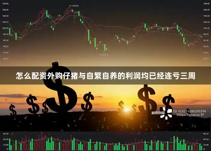 怎么配资外购仔猪与自繁自养的利润均已经连亏三周