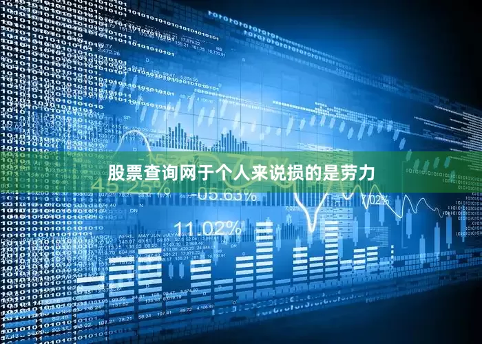 股票查询网于个人来说损的是劳力